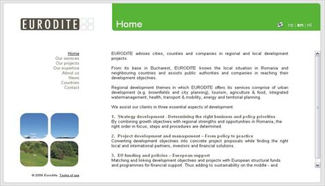 Company Website - EuroditeWeb design Sibiu