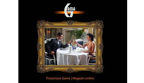 Company Website - Gama SibiuWeb design Sibiu